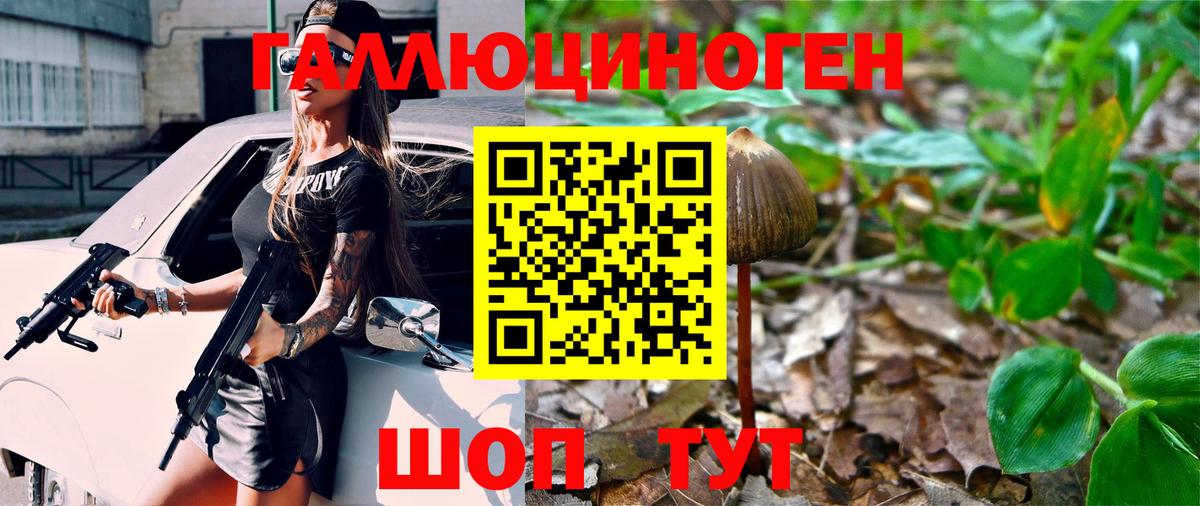 Галлюциногенные грибы прущие грибы Ессентуки