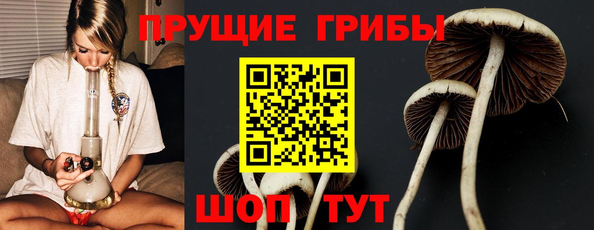 Галлюциногенные грибы мицелий  где купить наркоту  Ессентуки  Вход с VPN 