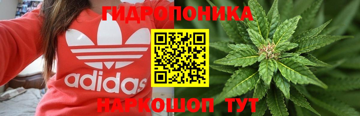 Ессентуки  МАРИХУАНА SATIVA & INDICA  Вход с VPN  Марихуана план  Бошки Шишки планчик  Бошки Шишки OG Kush 